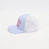 Really Busy Dilly Dallying Hat
